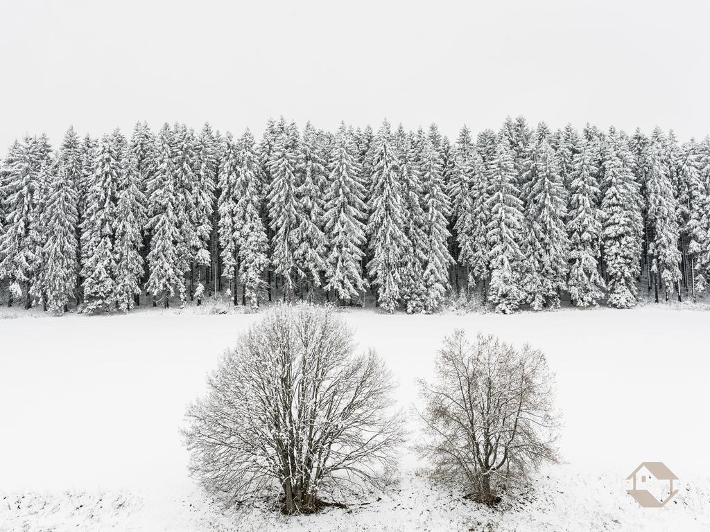 Kuckucksnest Leilighet Unterkirnach Rom bilde