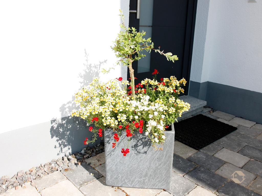 Kuckucksnest Leilighet Unterkirnach Rom bilde